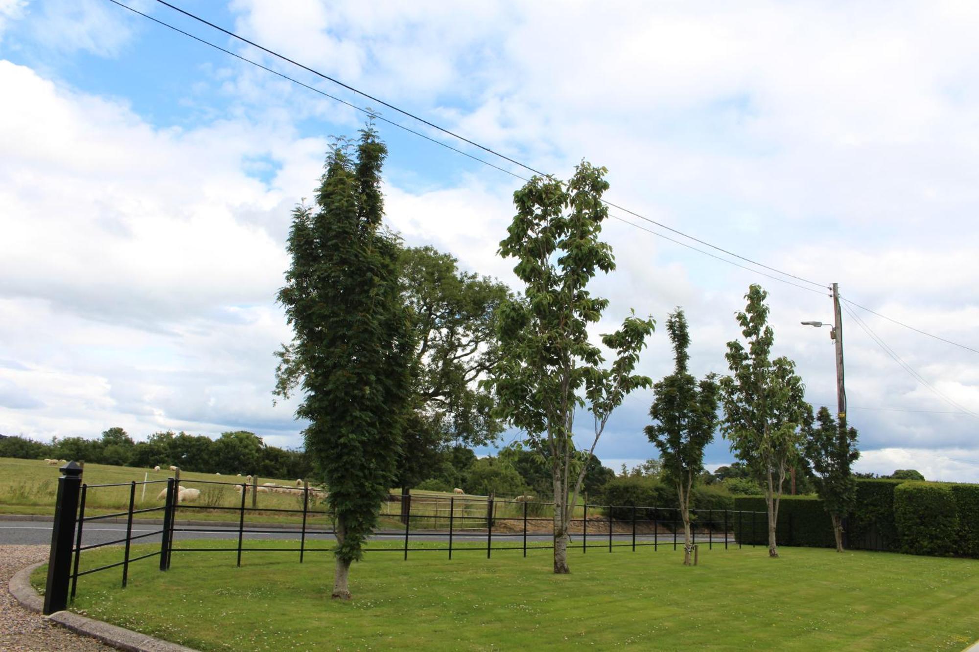 Contemporary Countryside Home Dromore  Εξωτερικό φωτογραφία